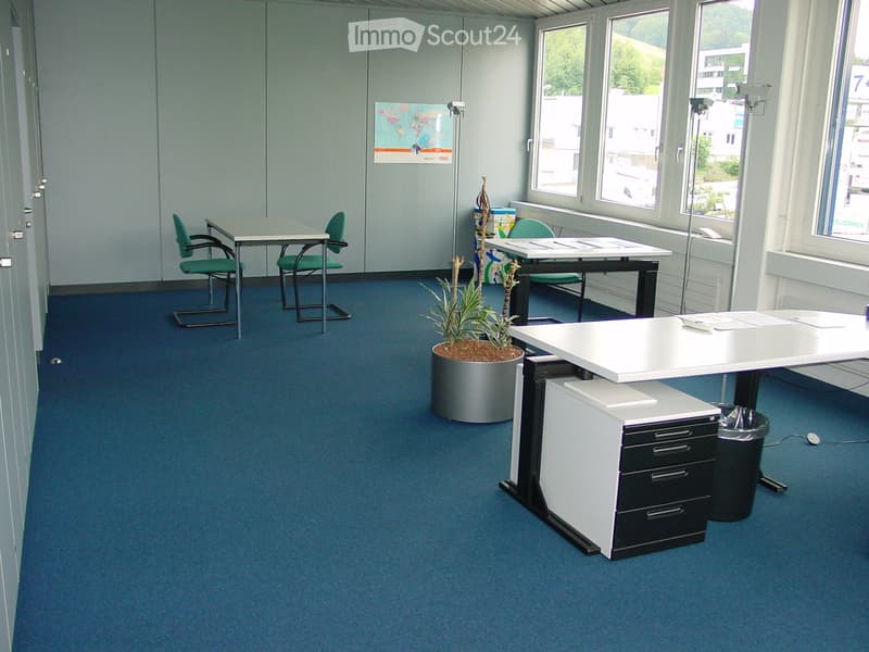 Office space with blue carpeting, multiple desks, chairs, filing cabinet, potted plant, and trash can.