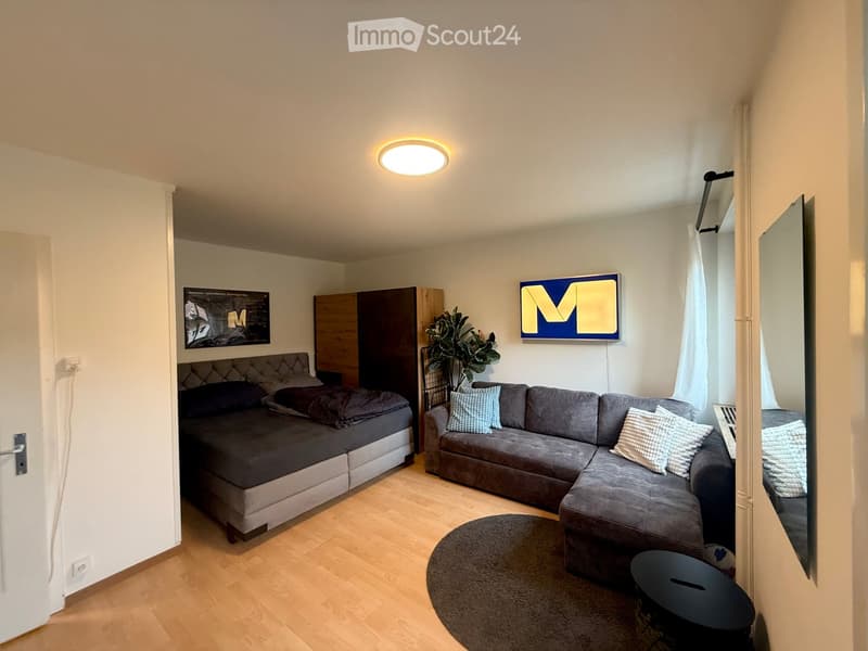 A compact, well-lit living space with a grey sectional sofa, a round coffee table, a small black stool, a potted plant, a mirror, a wardrobe, and a bed with dark bedding.