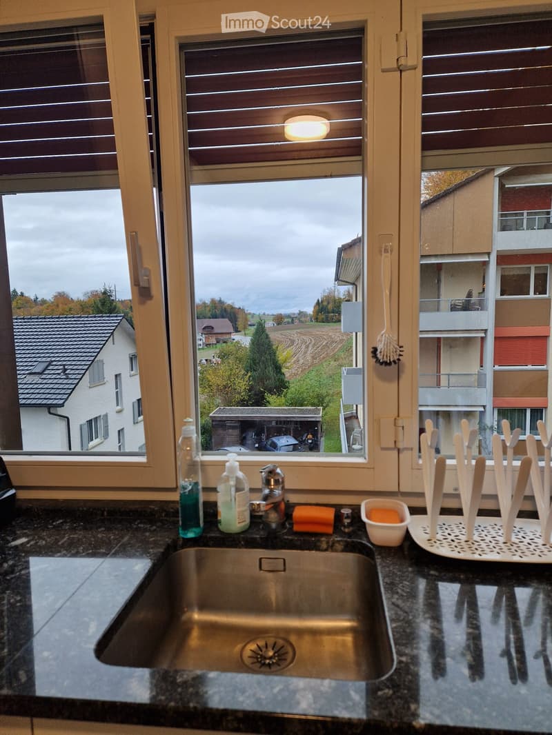 Modern kitchen sink area with granite countertop, stainless steel sink, dish soap bottles, a dish rack, and a brush holder. Large windows offer a view of the countryside.