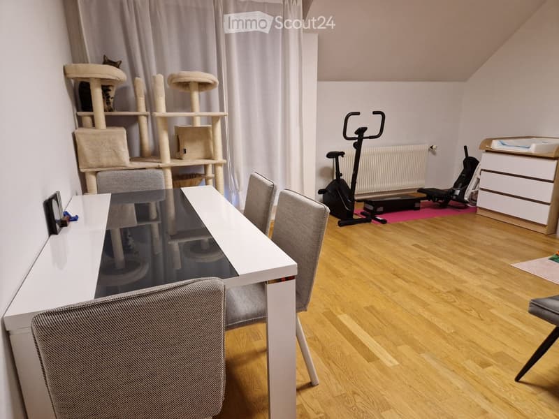 A multi-purpose room with a cat tree, a white dining table with chairs, a baby chair, and an exercise bike. The room features wooden flooring and large windows with curtains.