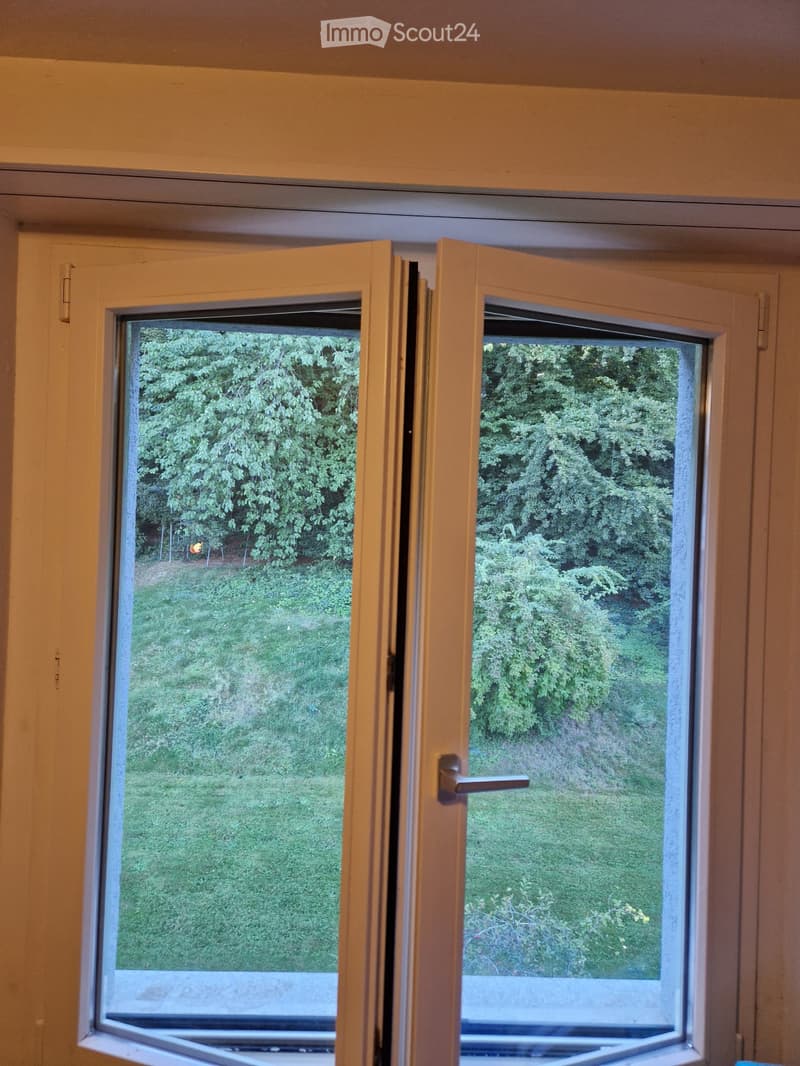 Open double-hinged window with a view of a green garden and trees outside.