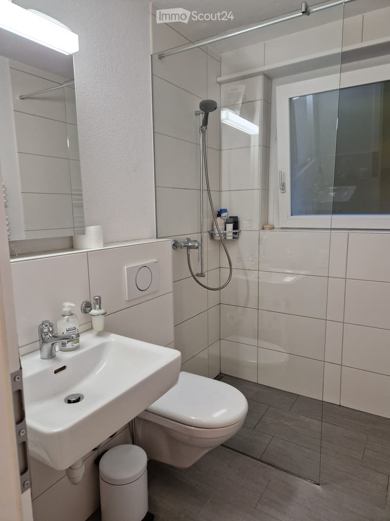 Modern bathroom with white tiles, a sink, toilet, shower, and a mirror. Includes a soap dispenser, toilet paper, and a small trash bin.