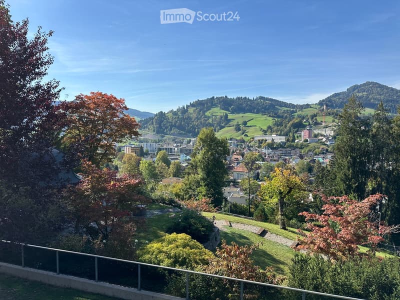 Helle, grosszügige 4.5-Zimmer-Terrassenwohnung in Wattwil (15)