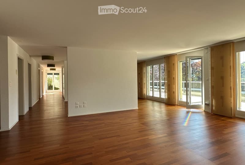 Helle, grosszügige 4.5-Zimmer-Terrassenwohnung in Wattwil (1)