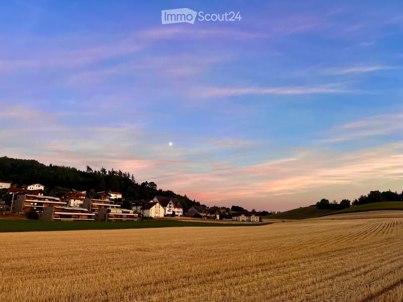 Rural landscape with a field of golden wheat, scattered houses, and trees under a twilight sky.