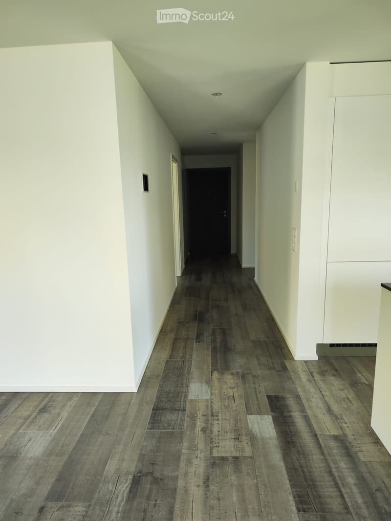 Empty hallway with light-colored walls, dark wooden flooring, and a closed door at the end.