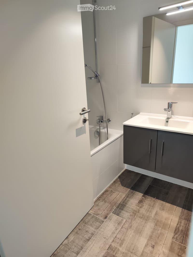 Modern bathroom with a white bathtub, a sink with a modern faucet, a mirrored cabinet, and wooden flooring.