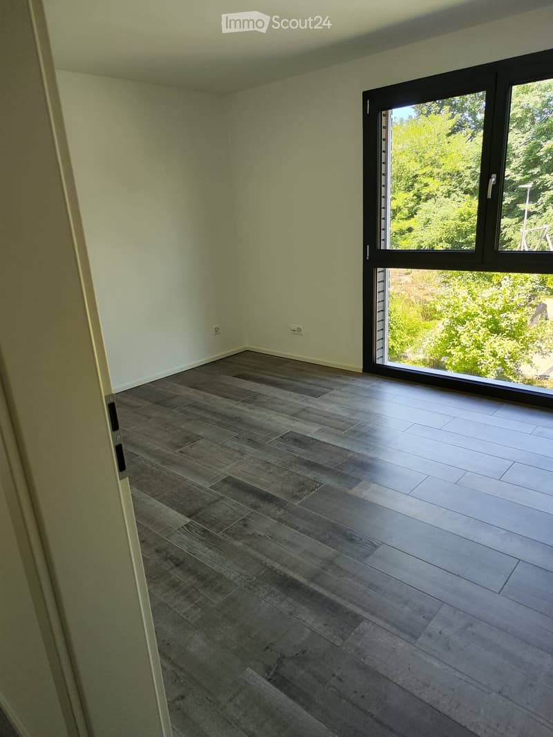 Empty room with light green walls and dark wooden flooring, featuring a large sliding glass door leading to an outdoor area.