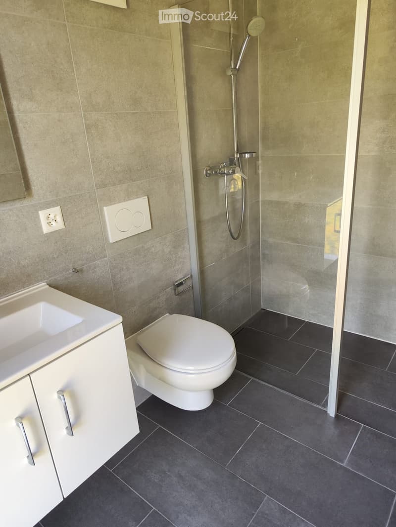 Modern bathroom with a white sink, toilet, and glass-enclosed shower with a handheld showerhead. Beige tiled walls and dark grey tiled floor.