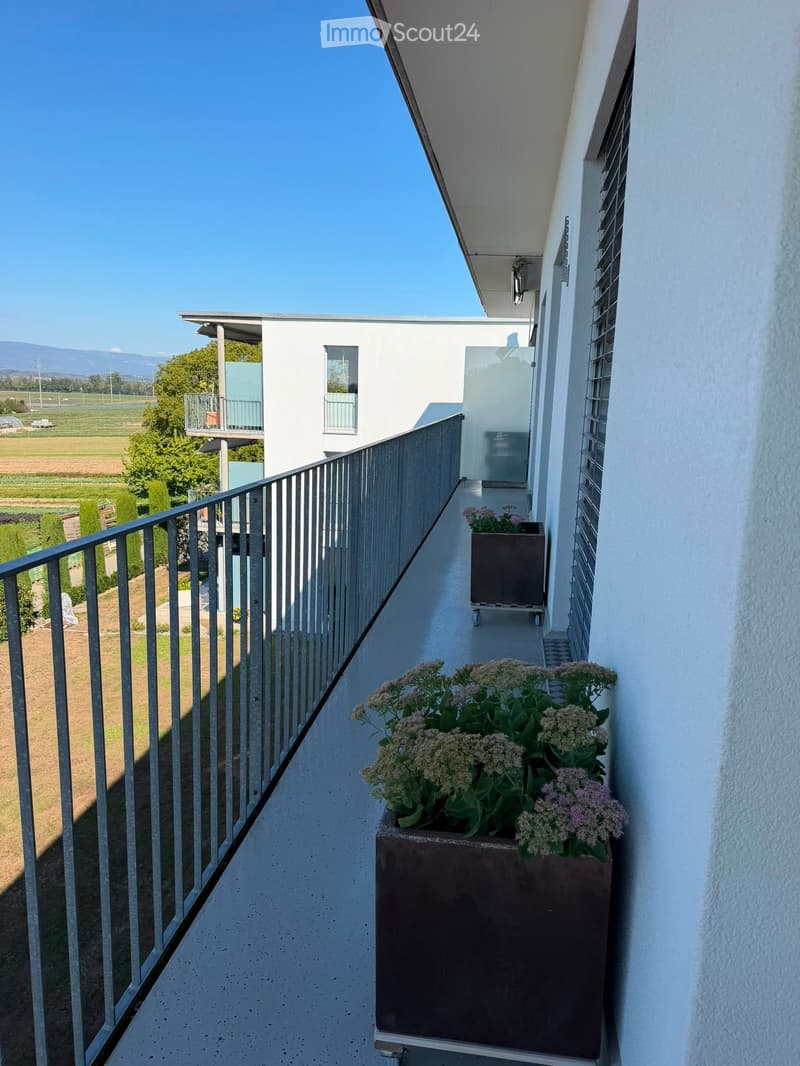 Balcony with metal railing, two large flower pots with white and pink flowers, overlooking a green field and modern building.