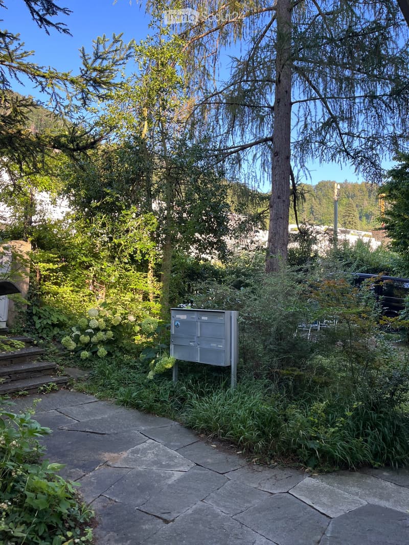 Möblierte 3.5 Zi-Wohnung mit Bergsicht in Thun, temporär bis Ende März (24)