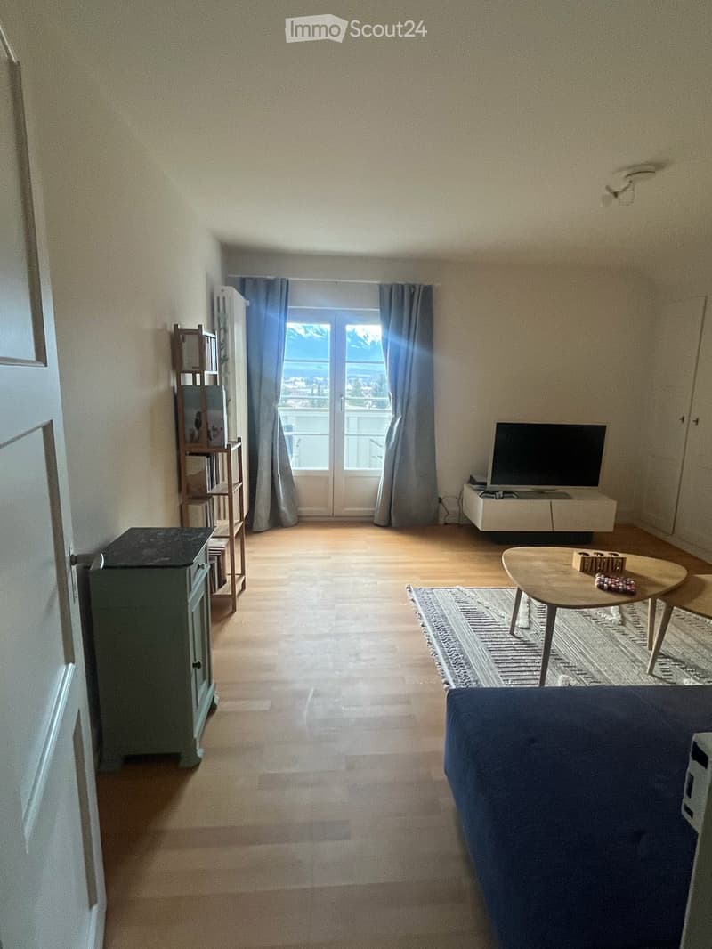 Möblierte 3.5 Zi-Wohnung mit Bergsicht in Thun, temporär bis Ende März (10)