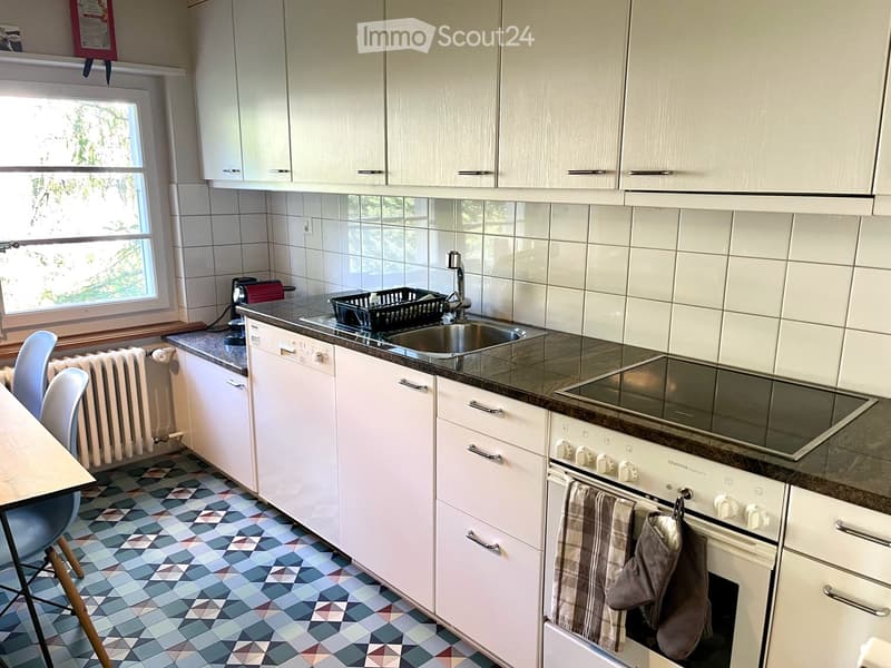Möblierte 3.5 Zi-Wohnung mit Bergsicht in Thun, temporär bis Ende März (17)