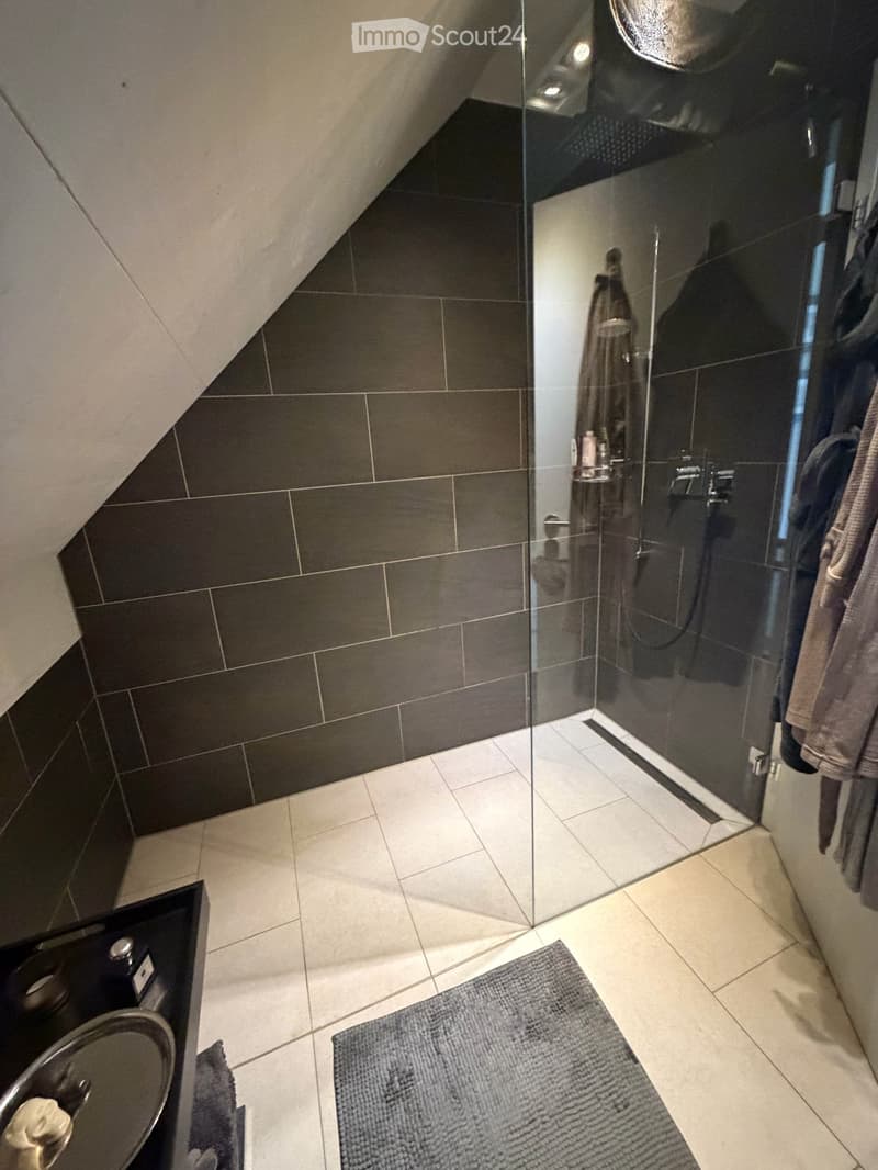 3,5 Zi. Dachwohnung in Lufingen (7)