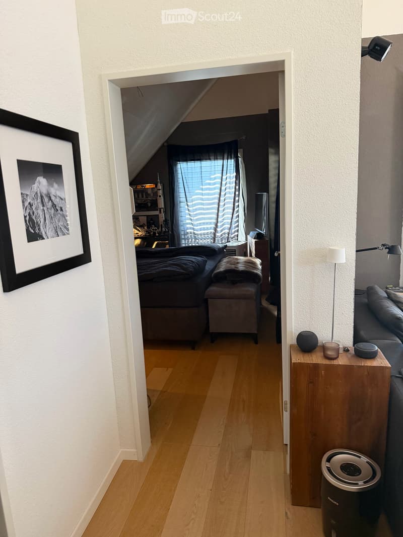 3,5 Zi. Dachwohnung in Lufingen (14)