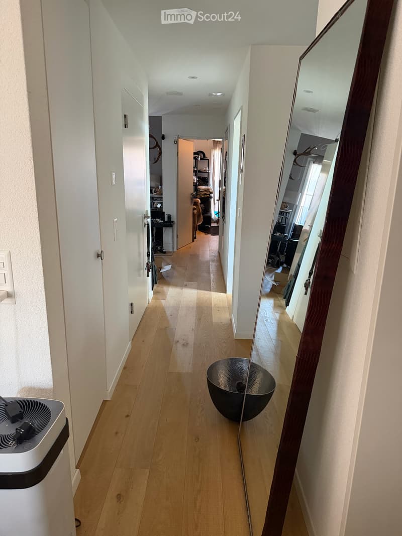 3,5 Zi. Dachwohnung in Lufingen (9)