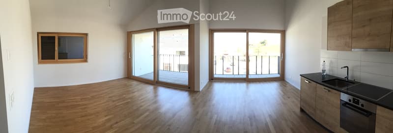 Bright, unfurnished room with wooden flooring, large sliding glass doors leading to a balcony, and a small kitchen area with cabinets and a sink.