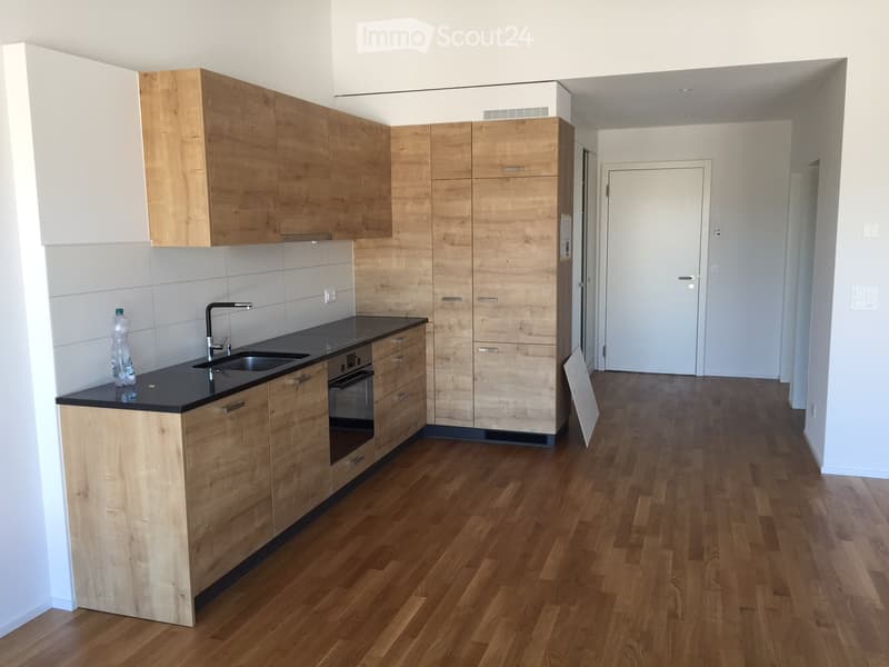 Modern kitchen with wooden cabinets, black countertop, and a sink. The floor is made of light wooden planks.