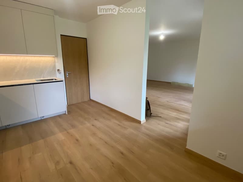 Empty room with light wooden flooring, white walls, and a small kitchen area with cabinets and a sink. A wooden door leads to another room.