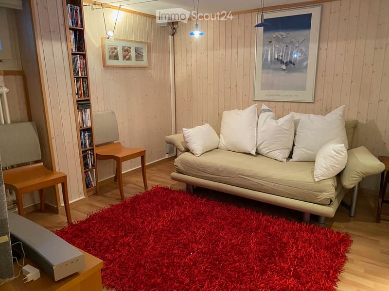 Cozy living room with a sofa, wooden chair, bookshelf, and a red shag rug on the floor.