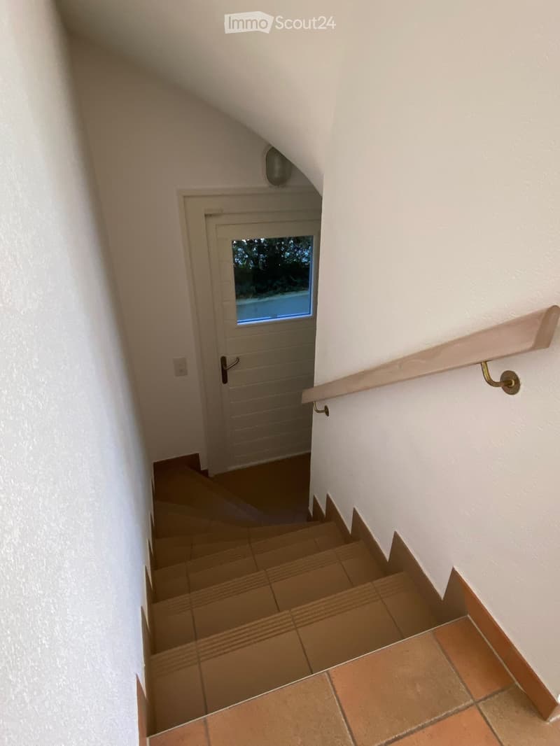 Rare, maison avec dépendance à Anières (9)