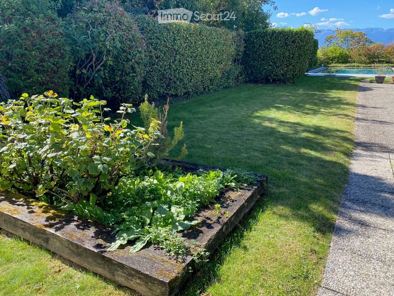 Rare, maison avec dépendance à Anières (39)