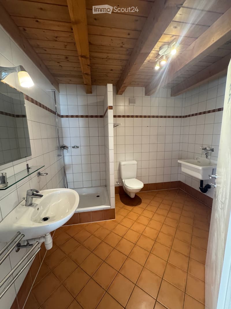 Bathroom with wooden ceiling, tiled walls, and brown tiled floor. Includes a toilet, two sinks, a bathtub, and a mirror.