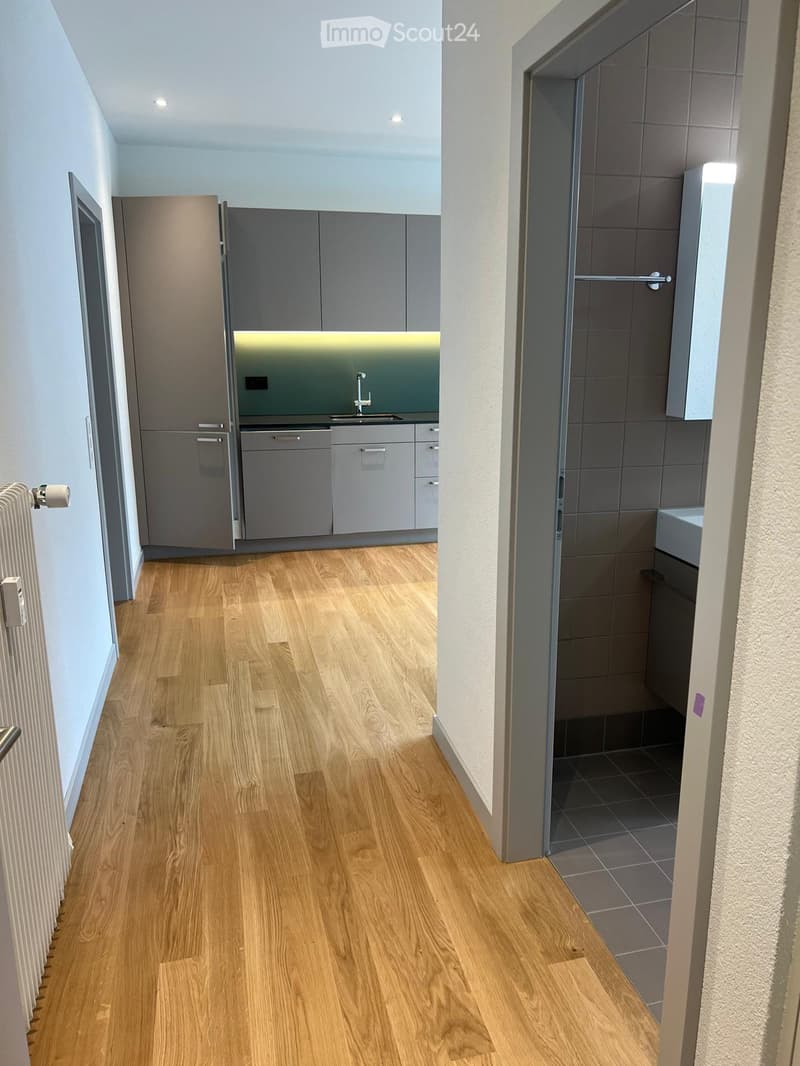 A narrow hallway with light wooden flooring, leading to a modern kitchen and a bathroom. The kitchen features grey cabinets, a sink, and a dishwasher, while the bathroom has grey tiles and a shower stall.