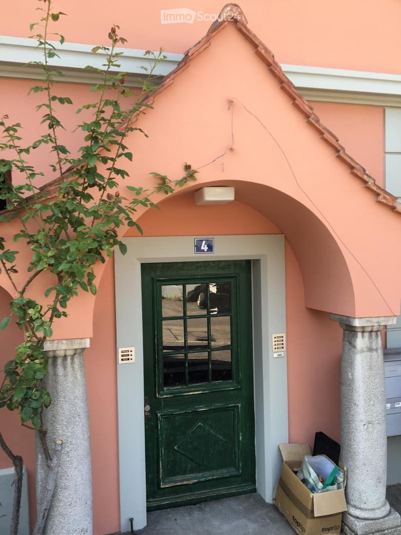 Entrance to a building with a green door, pink facade, and small awning above the door. A small tree is visible on the left side.