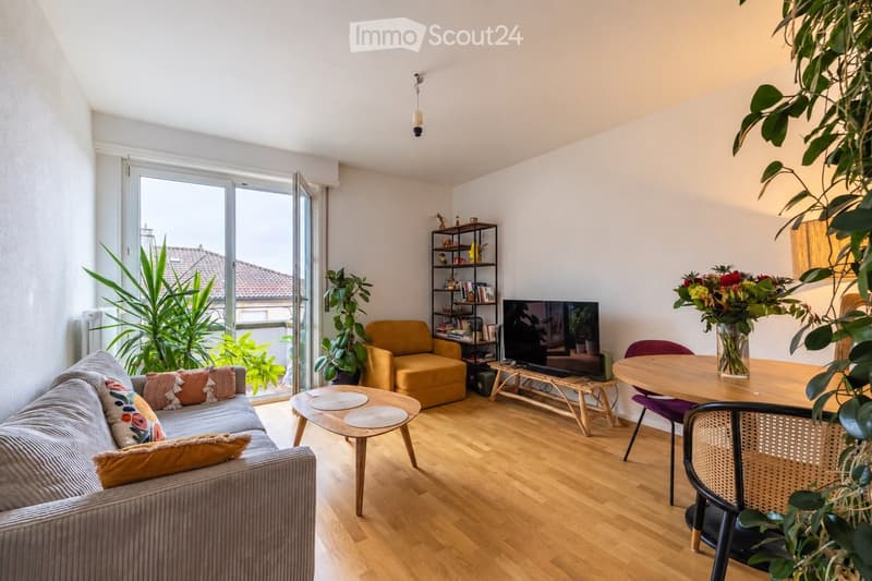 Modern living room with wooden flooring, large windows, grey sofa, coffee table, armchair, dining table, and decorative plants.