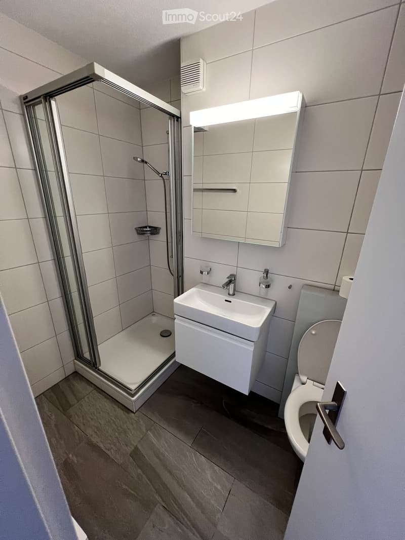 Modern bathroom with a white sink, toilet, mirror, and a glass-enclosed shower. The floor is tiled, and the walls are tiled with light gray tiles.