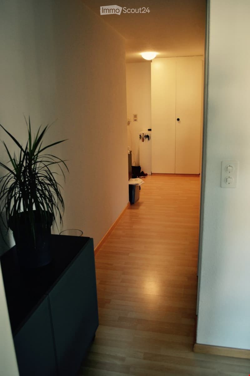 A narrow hallway with light wooden flooring, white walls, and a small black cabinet with a potted plant on top. The hallway leads to a room with a white door and a visible refrigerator.
