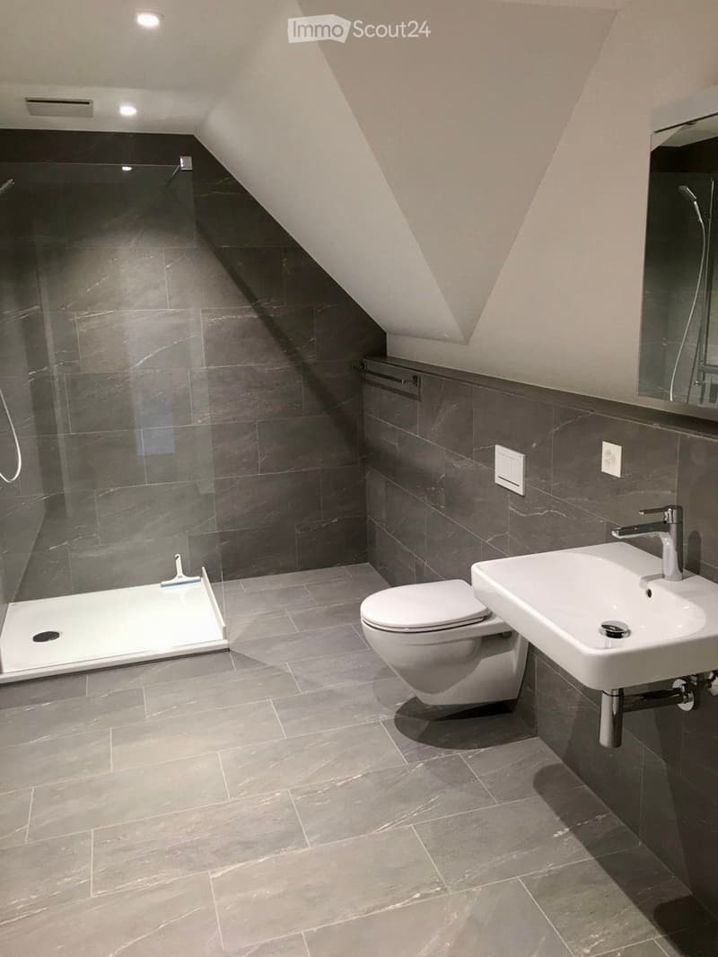 Modern bathroom with dark grey tiles, a white toilet, a white sink with a modern faucet, a glass-enclosed shower, and a mirror above the sink.