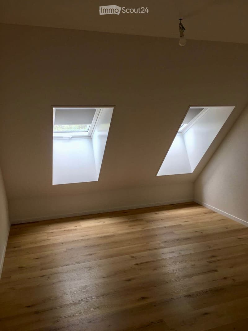 Empty attic room with wooden flooring and two skylights, featuring exposed wooden beams and a single hanging light fixture.