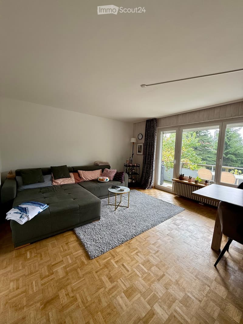Nachmieter für 3 Zi-Wohnung in Gottlieben gesucht. (1)