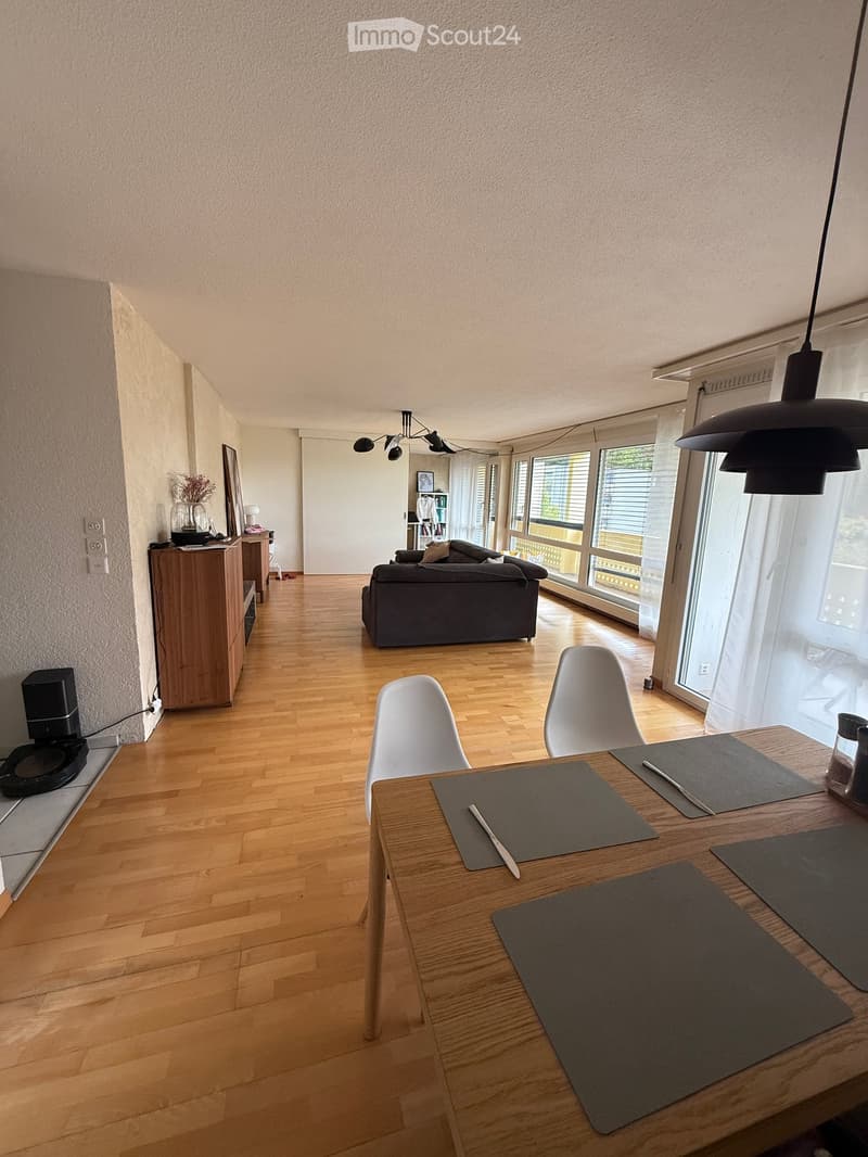 Bright living and dining area with wooden flooring, large windows, a grey sofa, a wooden dining table with chairs, and modern lighting fixtures.