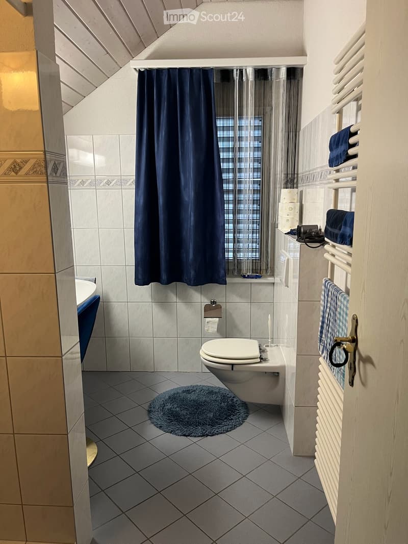 5.5-Zimmer-Doppeleinfamilienhaus in Wilen b. Wil (7)