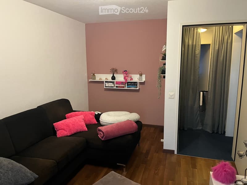 5.5-Zimmer-Doppeleinfamilienhaus in Wilen b. Wil (8)