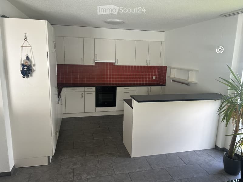 Modern kitchen with white cabinets, dark countertop, and red tiled backsplash. Features a refrigerator, oven, and a potted plant on the right side.
