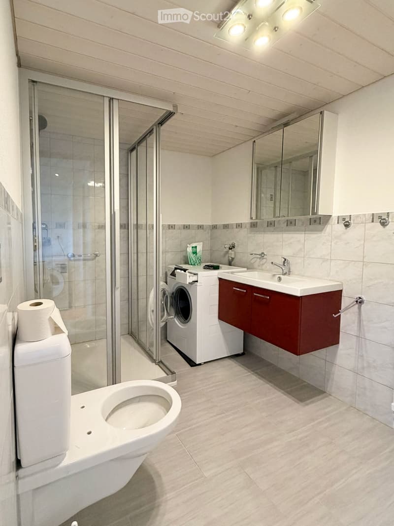 Modern bathroom with a toilet, sink, mirror, washing machine, and a glass-enclosed shower area.