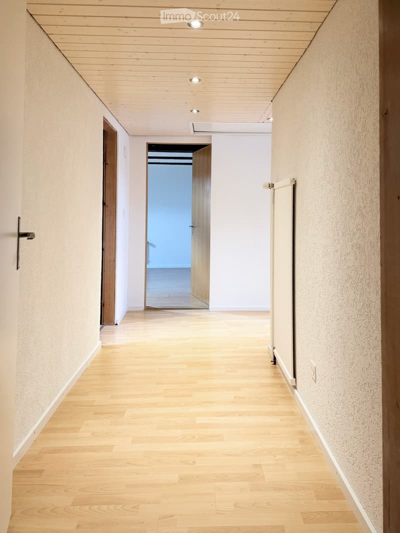 Modern hallway with light wooden flooring, white walls, recessed ceiling lights, and two wooden doors leading to other rooms.