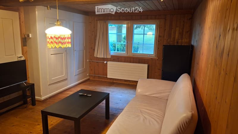 Living room with wooden walls and floor, a white sofa, a black coffee table, a television, and a refrigerator in the corner.