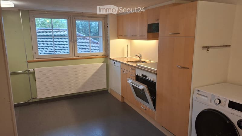 Modern kitchen with light wooden cabinets, stainless steel appliances, and a window overlooking a roof.