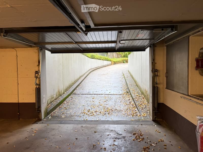 Garage with concrete floor, open door leading to an outdoor area, walls showing signs of wear and dirt, scattered leaves on the floor.
