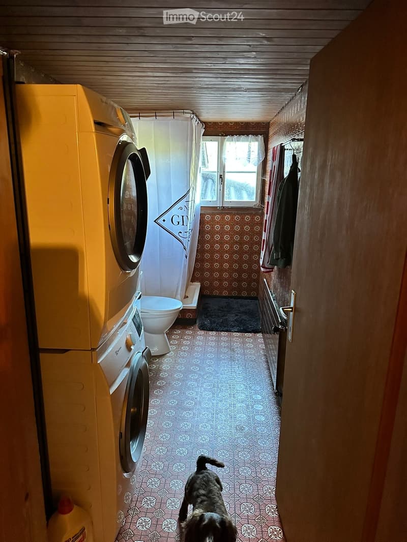 A narrow hallway with tiled flooring, a washing machine, a toilet, a shower curtain, and a small window at the end. A dog is walking down the hallway.
