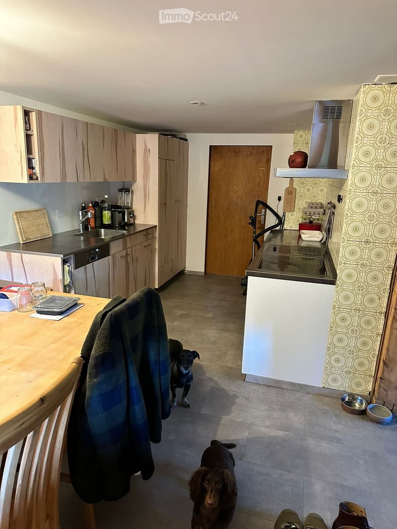 Modern kitchen with light wooden cabinets, stainless steel appliances, and a central island. Two dogs are present in the space.