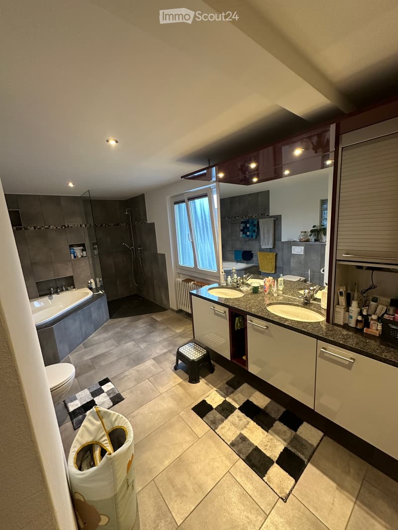 Modern bathroom with a double sink vanity, bathtub, toilet, shower, and large mirror. Features tiled floors, built-in cabinets, and decorative rugs.