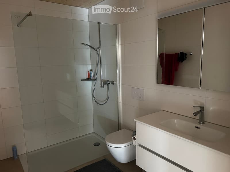 Modern bathroom with a white toilet, sink, mirror, and glass-enclosed shower. Includes a towel on a rack and a small shelf with toiletries.