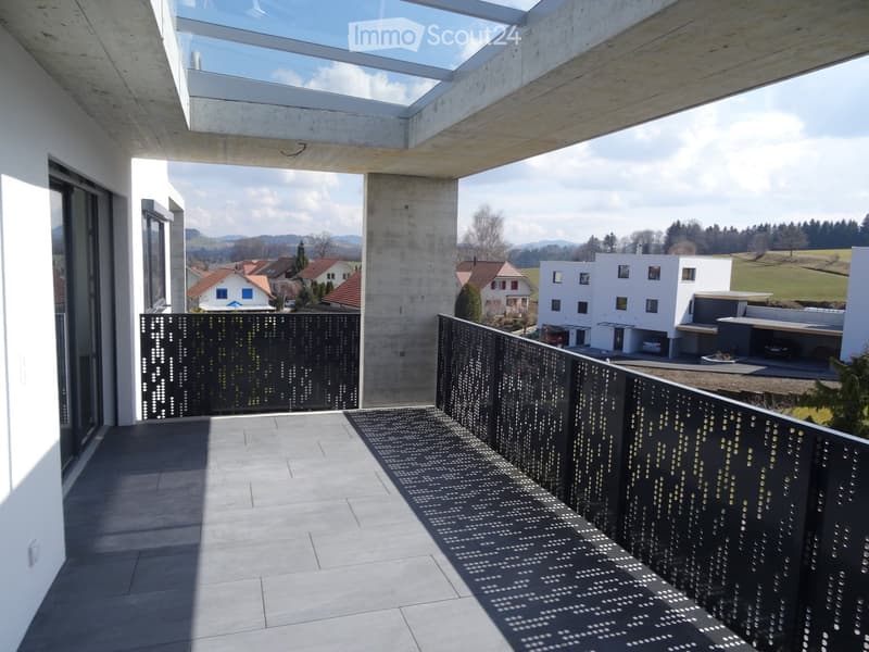 Modern balcony with concrete floor, black perforated metal railing, and a large glass roof offering a view of the surrounding landscape and neighboring houses.