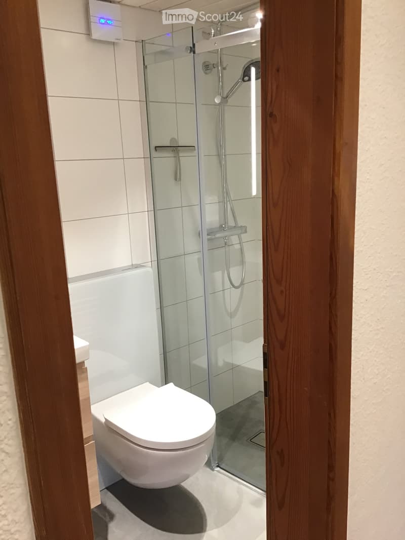 Modern bathroom with a white toilet, glass-enclosed shower, and a sleek showerhead.